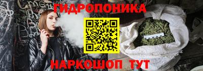 твердый Гатчина