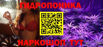 твердый Гатчина
