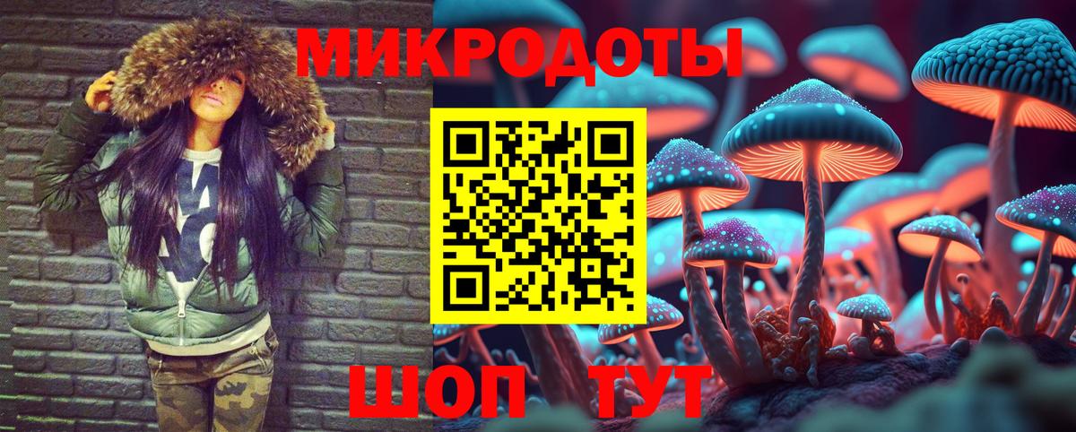 Назрань  Псилоцибиновые грибы Psilocybine cubensis  Галлюциногенные грибы MAGIC MUSHROOMS  Вход с VPN 