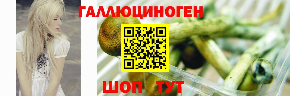 Псилоцибиновые грибы MAGIC MUSHROOMS Назрань